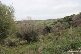 ammena-26-02-2023 13-55-31